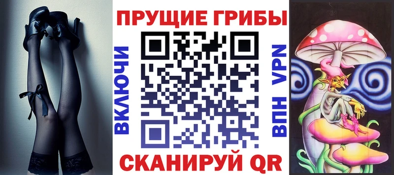 Псилоцибиновые грибы Psilocybe  Алейск 